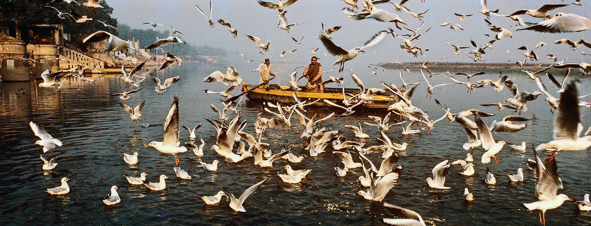 India Raju Rori INDIA COLOR – Raghu Rai Foundation