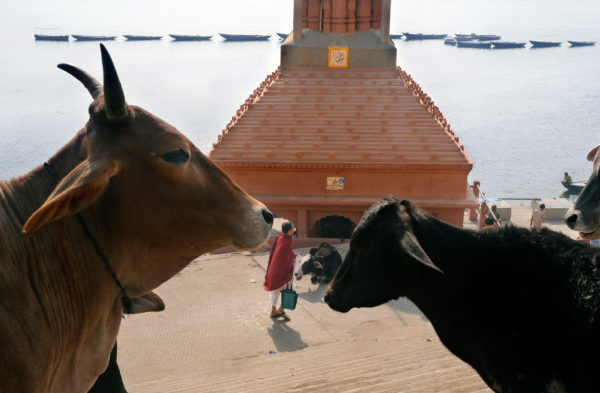 VARANASI – Raghu Rai Foundation